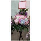 CBF-016